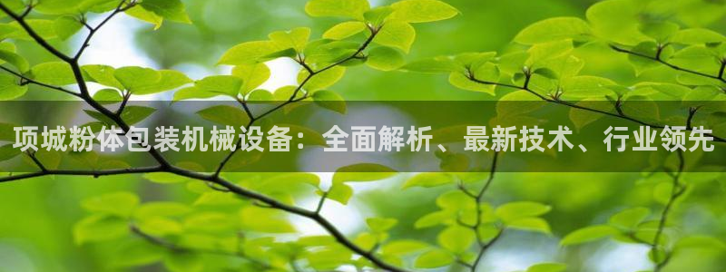 金年会体育app官网入口网址：项城粉体包装机械设备：全面解析、最新技术、行业领先