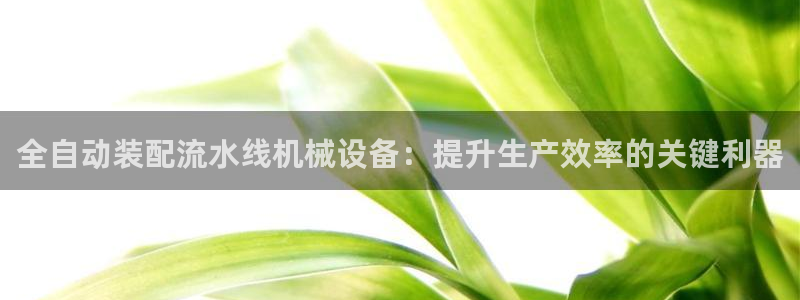 金年会官方在线入口网址：全自动装配流水线机械设备：提升生产效率的关键利器