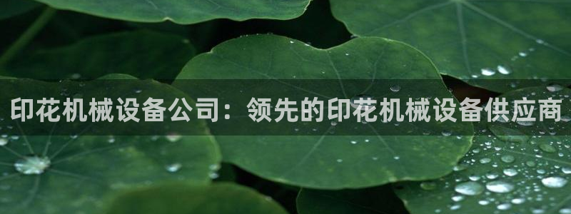 金年会APP官方网站：印花机械设备公司：领先的印花机械设备供应商