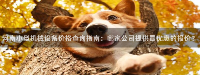 金年会官方网站入口登录手机版：河南小型机械设备价格查询指南：哪家公司提供最优惠的报价？