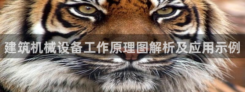 金年会官方网站入口登录手机版下载：建筑机械设备工作原理图解析及应用示例