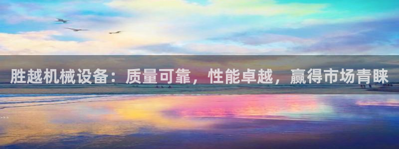 金年会体育买球：胜越机械设备：质量可靠，性能卓越，赢得市场青睐