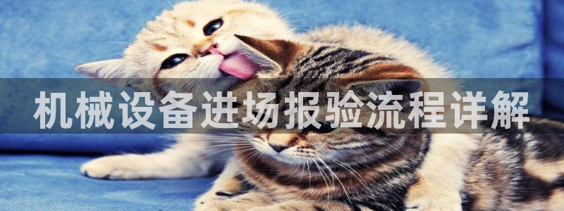 金年会pM捕鱼：机械设备进场报验流程详解