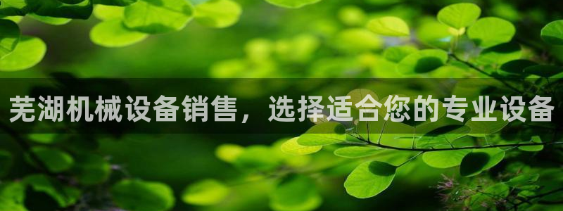 金年会手机网页版登录入口：芜湖机械设备销售，选择适合您的专业设备