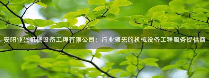 金年会官方网站入口：安阳业兴机械设备工程有限公司：行业领先的机械设备工程服务提供商