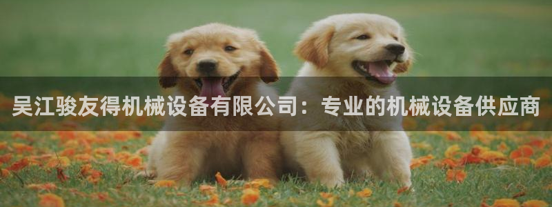 金年会网址导航