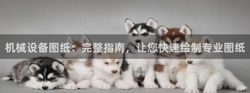 金年会官方入口APP