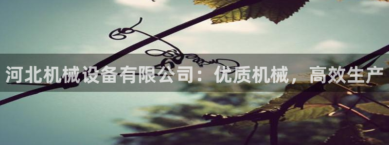 金年会电子平台