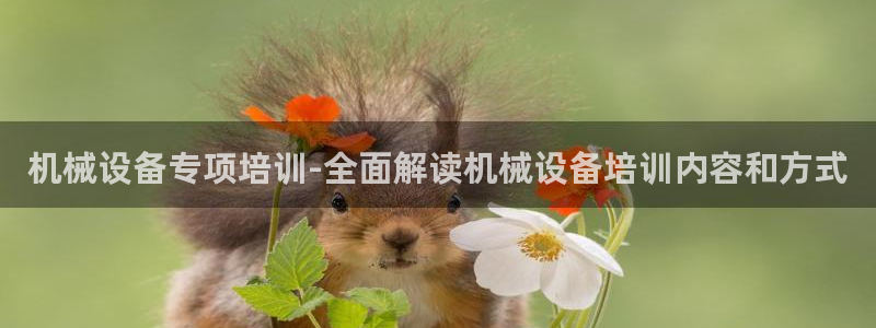 金年会赌博app平台可靠吗安全吗