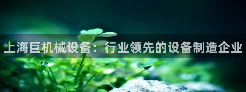 金年会体育app下载官网安卓手机