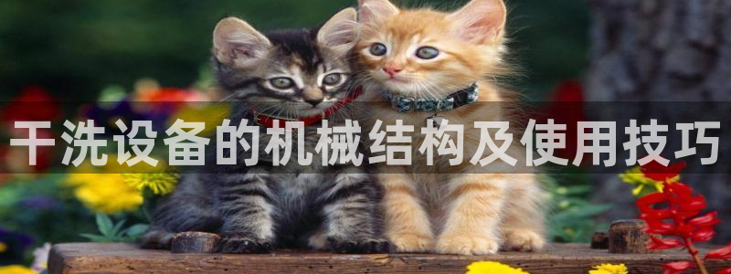 金年会体育官网入口