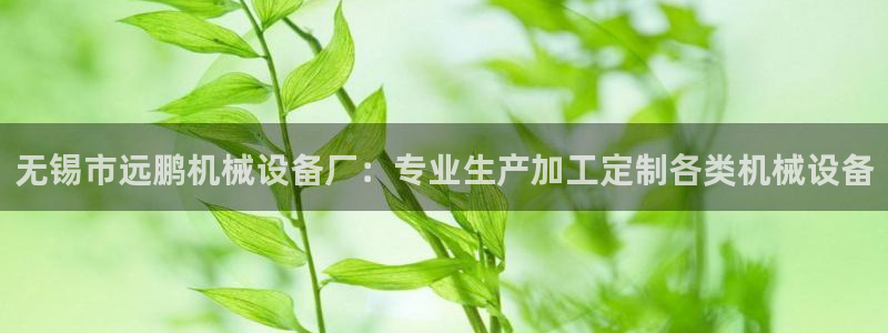 金年会官方在线入口网站2023