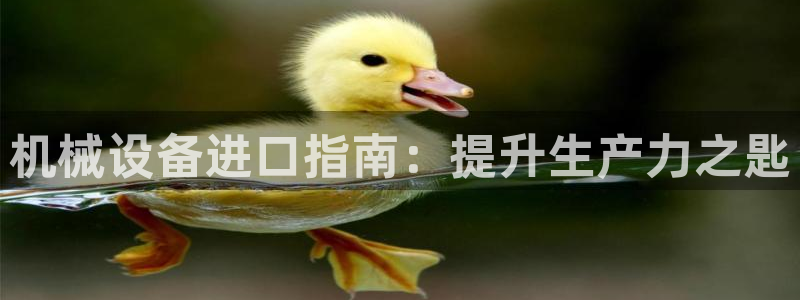 金年会体育平台注册