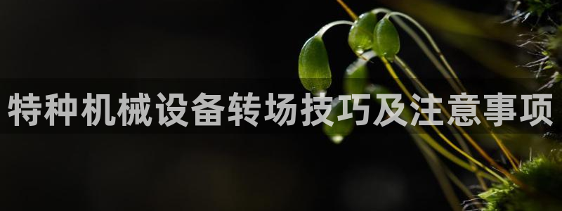 今年会金年会