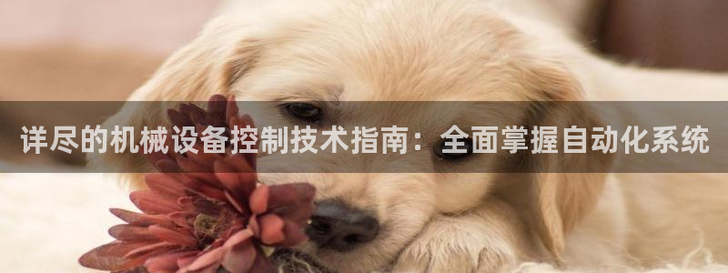 金年会网址导航在线播放