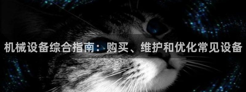 金年会信誉至上