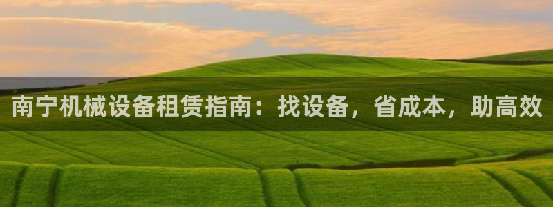 金年会赌博案