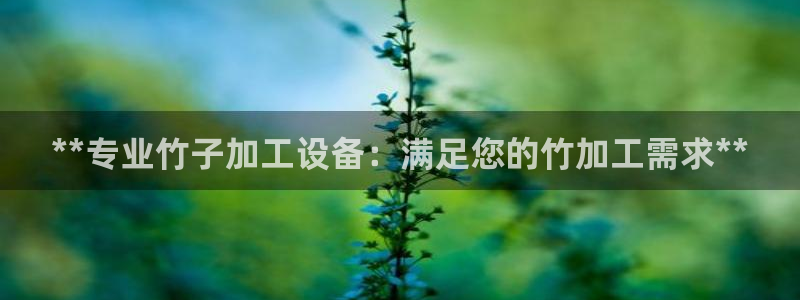 金年会信誉第一 百家号