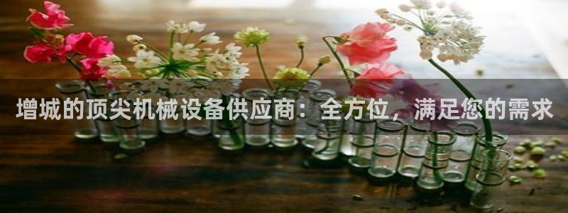 金年会官方登录入口网址是多少：增城的顶尖机械设备供应商：全方位，满足您的需求
