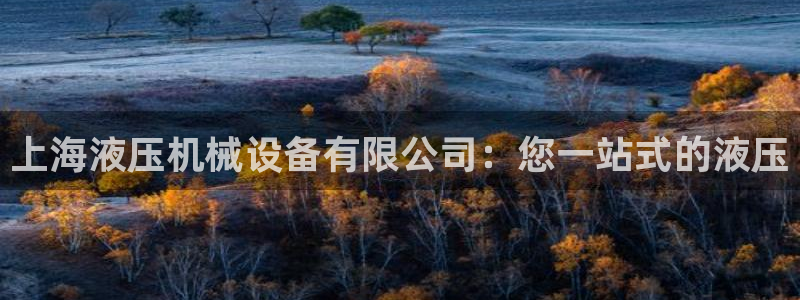 金年会体育app下载安装