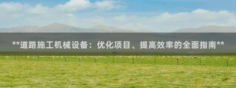 jinnianhui金年会195：**道路施工机械设备：优化项目、提高效率的全面指南**