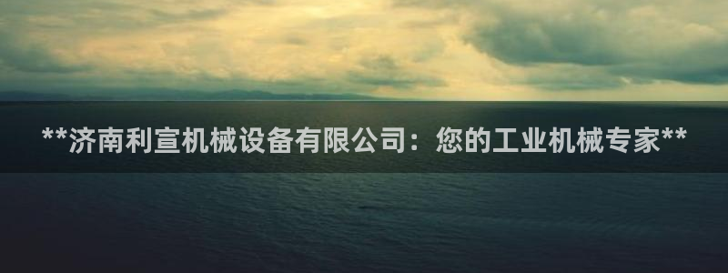 金年会官方平台：**济南利宣机械设备有限公司：您的工业机械专家**