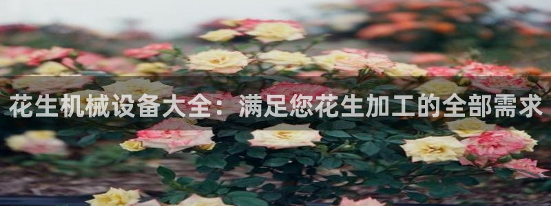 金年会官方网址登录入口：花生机械设备大全：满足您花生加工的全部需求