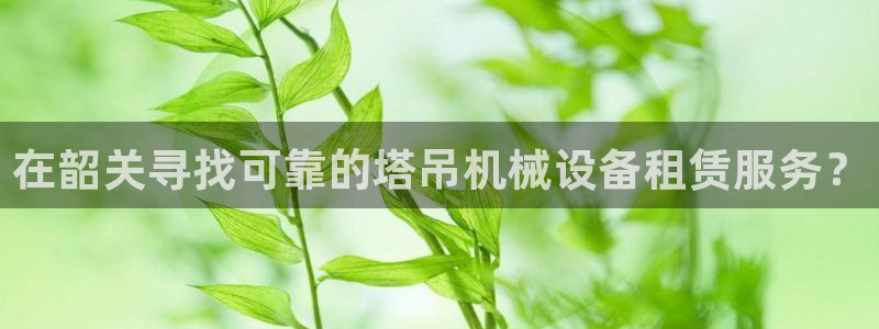 金年会电子平台：在韶关寻找可靠的塔吊机械设备租赁服务？