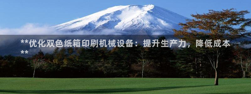 金年会体育那一年注册：**优化双色纸箱印刷机械设备：提升生产力，降低成本
**