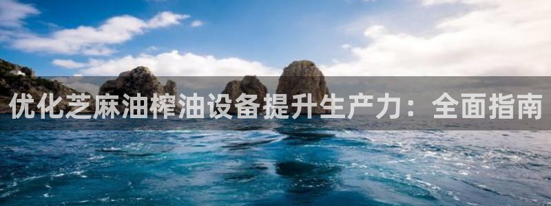金年会金字招牌诚信：优化芝麻油榨油设备提升生产力：全面指南