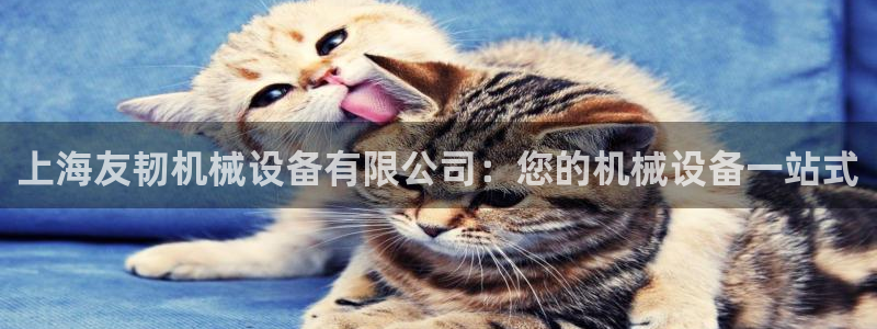 金年会体育官网登录入口网址：上海友韧机械设备有限公司：您的机械设备一站式