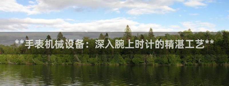 今年会金年会：**手表机械设备：深入腕上时计的精湛工艺**