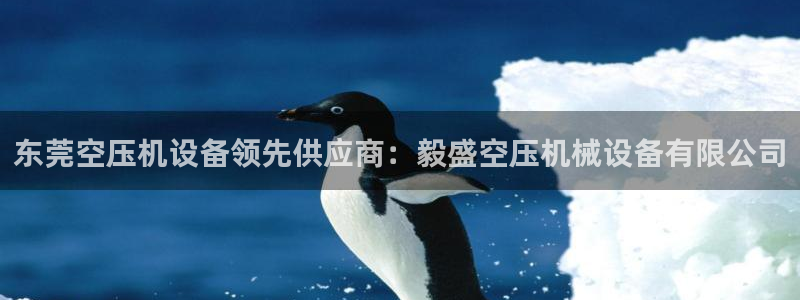 金年会体育电子登录入口：东莞空压机设备领先供应商：毅盛空压机械设备有限公司