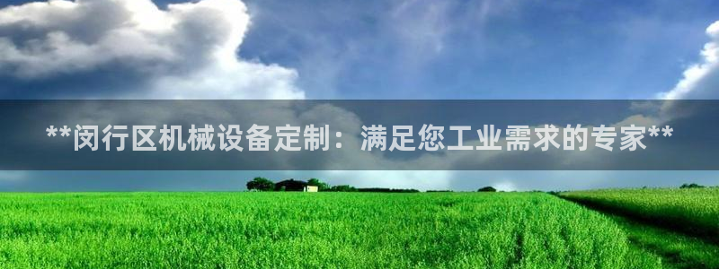 金年会体育有限公司：**闵行区机械设备定制：满足您工业需求的专家**