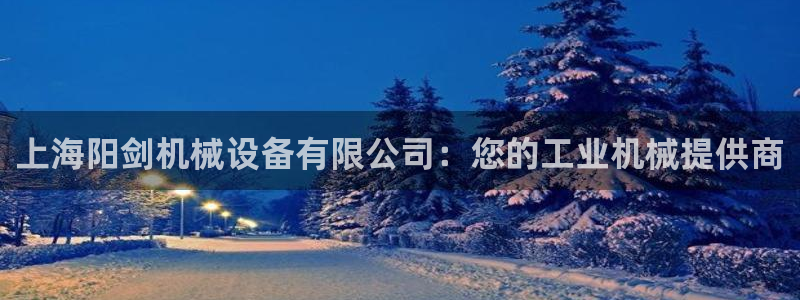 金年会App是不是钓鱼软件：上海阳剑机械设备有限公司：您的工业机械提供商