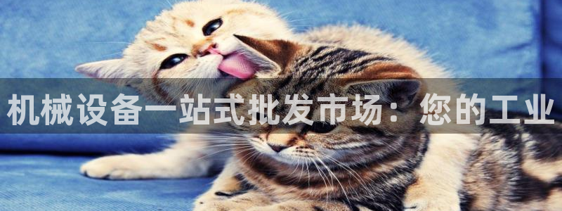 金年会官方网址登录入口：机械设备一站式批发市场：您的工业