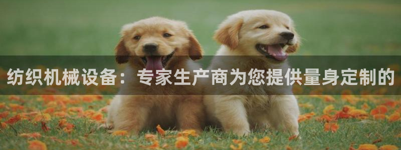 金年会体育在线：纺织机械设备：专家生产商为您提供量身定制的