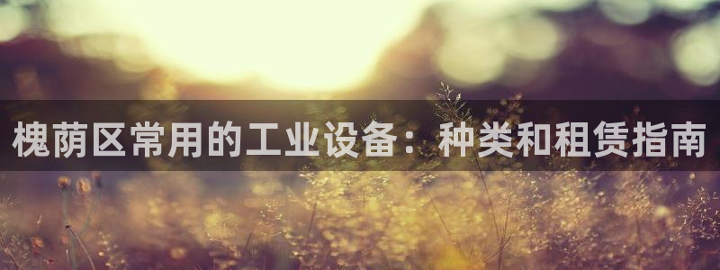 金年会-金字招牌信誉至上正规吗：槐荫区常用的工业设备：种类和租赁指南