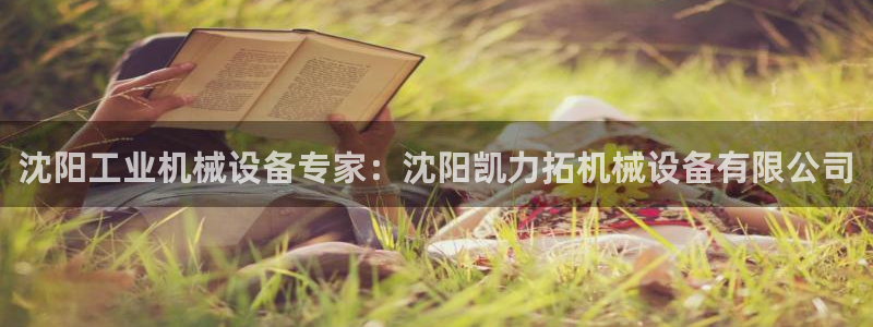 金年会体育那一年注册：沈阳工业机械设备专家：沈阳凯力拓机械设备有限公司