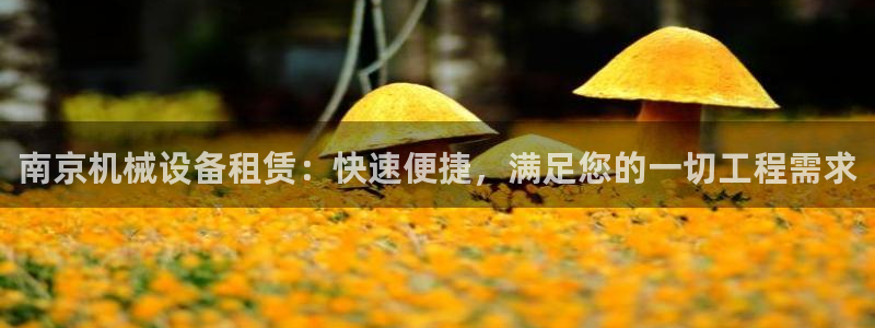 金年会体育开户：南京机械设备租赁：快速便捷，满足您的一切工程需求