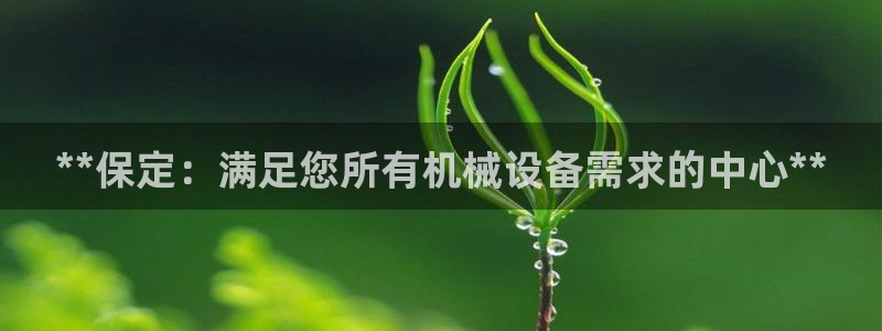 金年会 金字招牌诚信至上网址：**保定：满足您所有机械设备需求的中心**