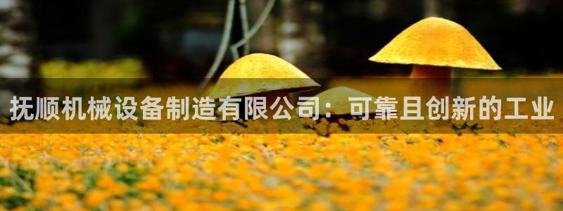 金年会网站被拒绝出款怎么处理?：抚顺机械设备制造有限公司：可靠且创新的工业