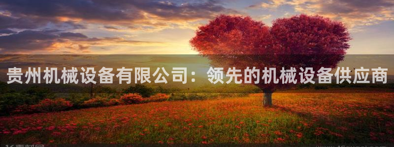 金年会赌博是诈骗吗：贵州机械设备有限公司：领先的机械设备供应商
