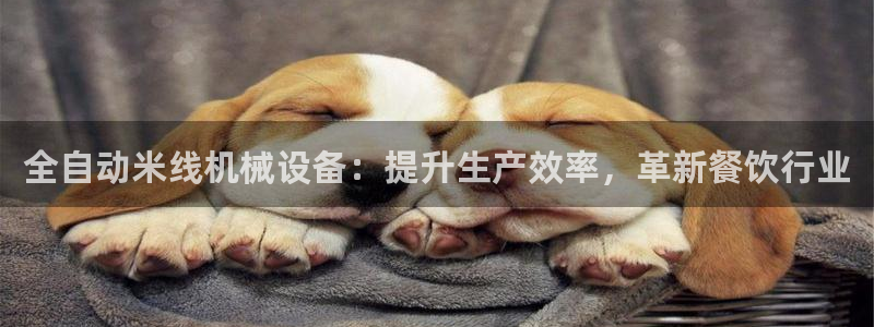 金年会体育app最新官网入口网址是什么：全自动米线机械设备：提升生产效率，革新餐饮行业