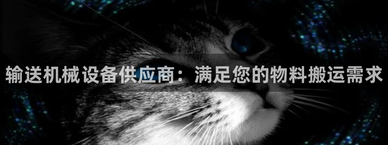 金年会官方入口首页网站下载：输送机械设备供应商：满足您的物料搬运需求