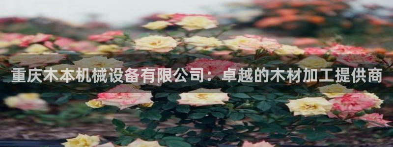 金年会网址导航下载：重庆木本机械设备有限公司：卓越的木材加工提供商