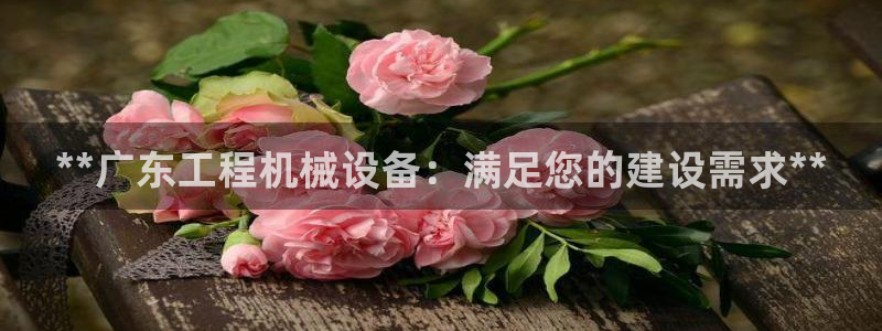 jinnianhui金年会世界杯：**广东工程机械设备：满足您的建设需求**