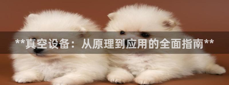 金年会pg麻将胡了几张牌：**真空设备：从原理到应用的全面指南**