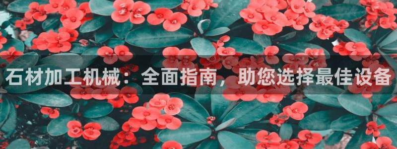 金年会体育平台官网下载app：石材加工机械：全面指南，助您选择最佳设备