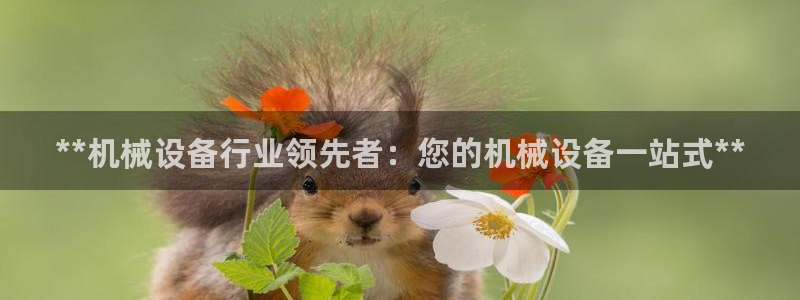 金年会体育竞彩app：**机械设备行业领先者：您的机械设备一站式**
